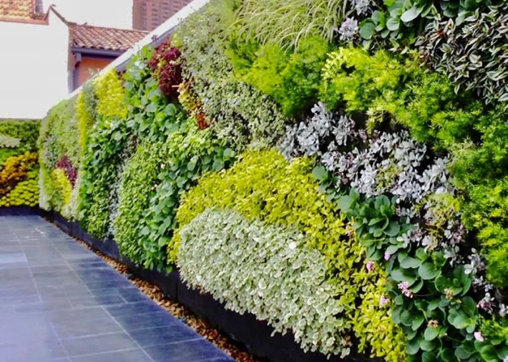 Vente de Sphaigne du Chili : Fabrication mur végétal sphaigne et toiture  végétale
