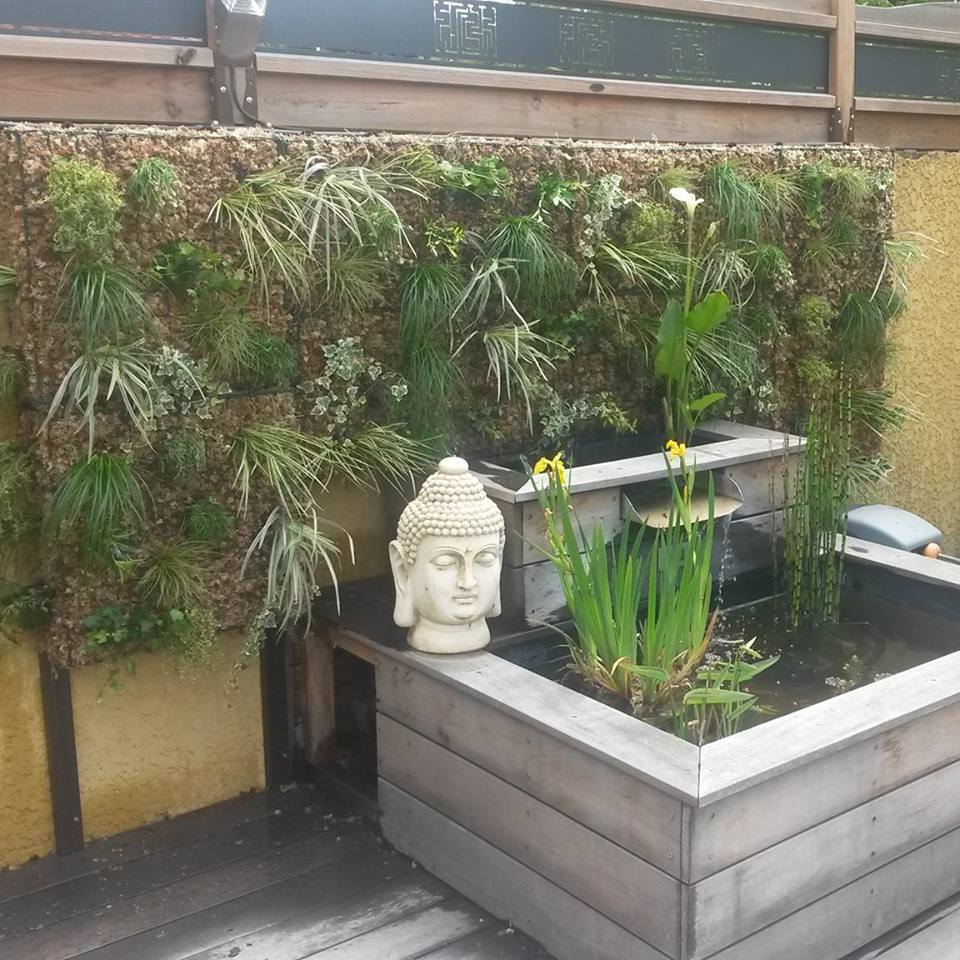 SPHAIGNE sèche - Plantes succulentes et mur végétal - La Vague Eco
