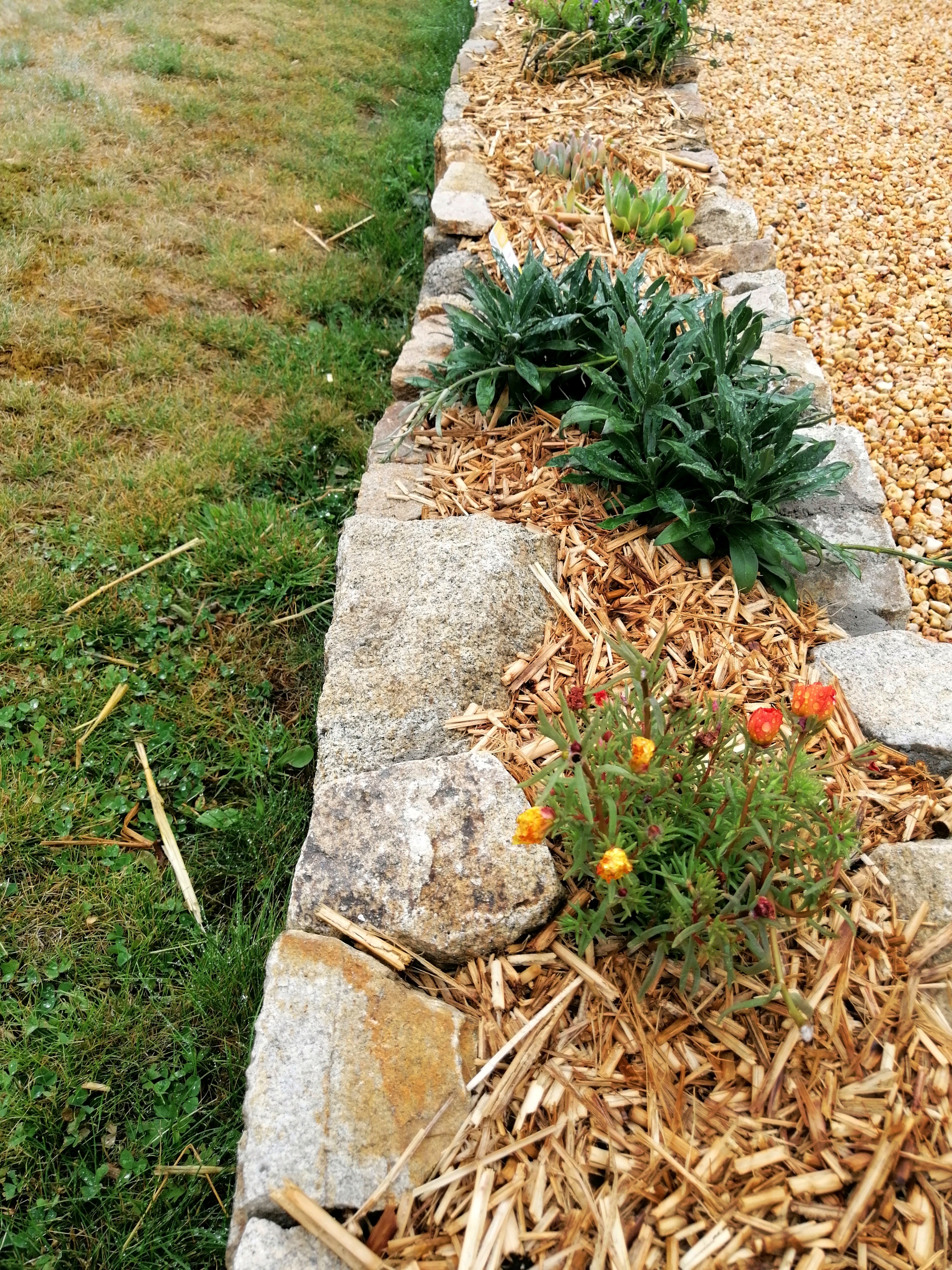 Chanvre, lin, miscanthus, l'importance d'un bon paillage dans le jardin  pour économiser de l'eau - NeozOne