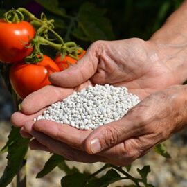 PATENTKALI –  Engrais minéral Riche en potasse – Fruits et légumes =rendement et qualité